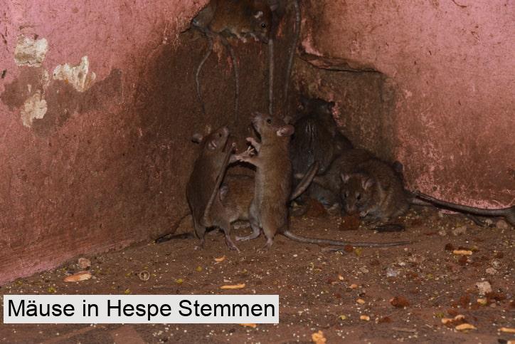 Mäuse in Hespe Stemmen